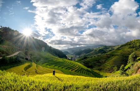 Examples of Terrace Farming Around the World
