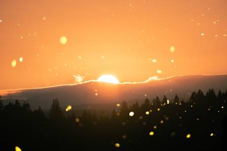 Masterpieces of the Golden Hour: Iconic Sunset Paintings