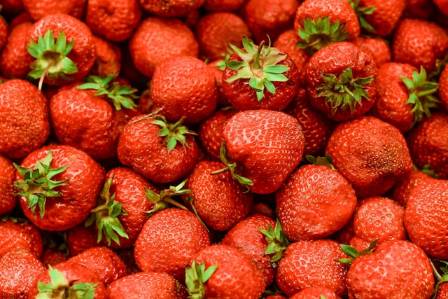 Keeping Your Strawberries Fresh