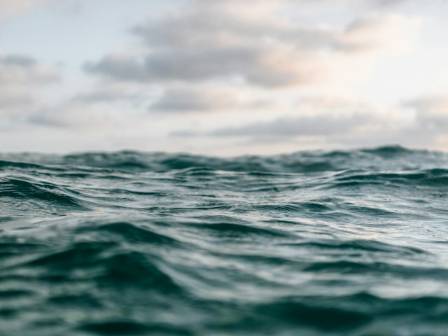 What Is Sea Surface?